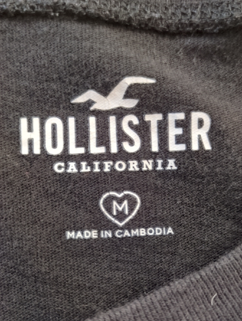 Hollister Cropped Logo T Shirt Gray Size Medium - Picture 4 of 6
